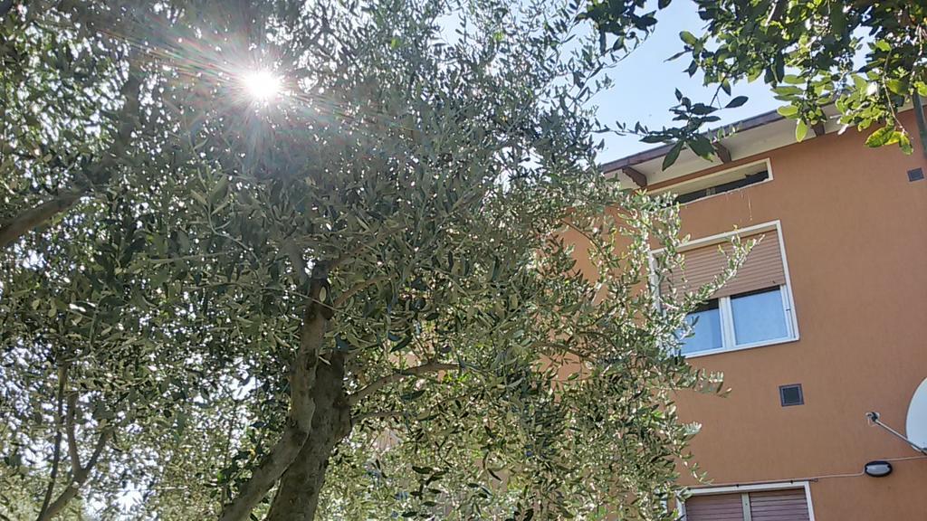 Ferienwohnung Il Borghetto San Lorenzo in Campo Exterior foto